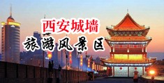 性感美女被操网站下载中国陕西-西安城墙旅游风景区